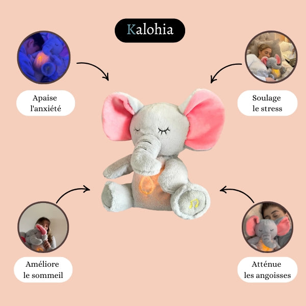 Pack Famille – Les Compagnons du Calme Intérieur