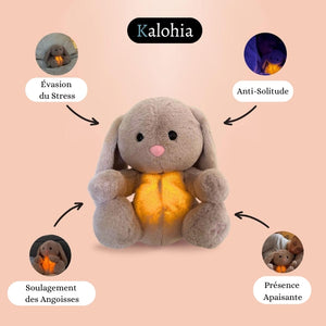 Lapin Apaisant – Le compagnon du calme intérieur