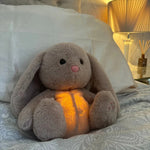 Charger l&#39;image dans la galerie, Lapin Zen - Compagnon de Nuit Respirant
