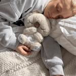 Charger l'image dans la galerie, Koala Apaisant – Le compagnon du calme intérieur
