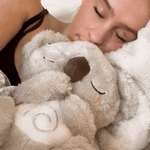 Charger l'image dans la galerie, Koala Apaisant – Le compagnon du calme intérieur
